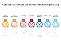 Channel Sales Marketing And Strategy Plan Including Licensing