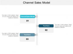 Channel sales model ppt powerpoint presentation gallery graphics template cpb