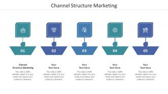 Channel Structure Marketing Ppt Powerpoint Presentation Model Guidelines Cpb