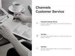 Channels customer service ppt powerpoint presentation styles styles cpb