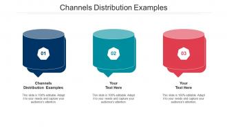 Channels distribution examples ppt powerpoint presentation professional aids cpb