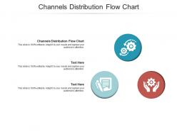 Channels distribution flow chart ppt powerpoint presentation show ideas cpb