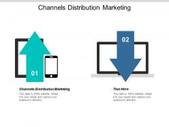 Channels distribution marketing ppt powerpoint presentation show graphics template cpb