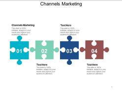 Channels marketing ppt powerpoint presentation outline samples cpb