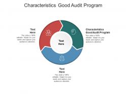 Characteristics good audit program ppt powerpoint presentation ideas background image cpb