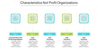Characteristics Not Profit Organizations In Powerpoint And Google Slides Cpb