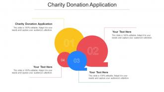 Charity Donation Application Ppt Powerpoint Presentation Infographic Cpb