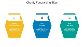 Charity Fundraising Sites Ppt Powerpoint Presentation Gallery Backgrounds Cpb