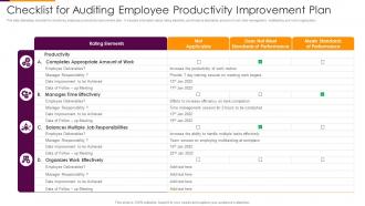 Checklist For Auditing Employee Productivity Improvement Plan