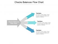Checks balances flow chart ppt powerpoint presentation portfolio sample cpb