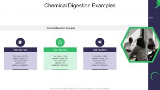 Chemical Digestion Examples In Powerpoint And Google Slides Cpb