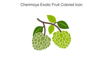 Cherimoya Exotic Fruit Colored Icon In Powerpoint Pptx Png And Editable Eps Format