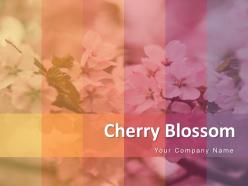 Cherry blossom circular frame flower tree showing business marketing analysis