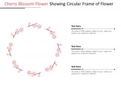 Cherry blossom flower showing circular frame of flower