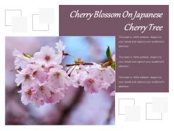 Cherry blossom on japanese cherry tree