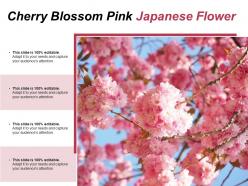 Cherry Blossom Pink Japanese Flower