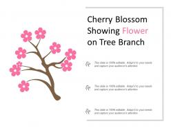 Cherry blossom showing flower on tree branch