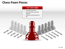 Chess pawn pieces ppt 12