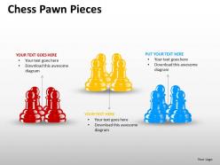 Chess pawn pieces ppt 13
