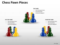 Chess pawn pieces ppt 14