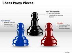 Chess pawn pieces ppt 2