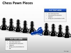 Chess pawn pieces ppt 9
