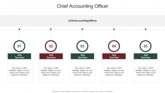 Chief Accounting Officer In Powerpoint And Google Slides Cpb