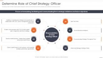 Chief Strategy Officer Playbook Determine Role Of Chief Strategy Officer