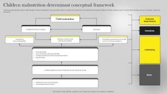 Children Malnutrition Determinant Conceptual Framework