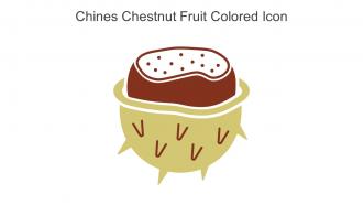Chines Chestnut Fruit Colored Icon In Powerpoint Pptx Png And Editable Eps Format