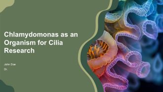 Chlamydomonas As An Organism For Cilia Research PPT Guidelines AT