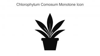 Chlorophytum Comosum Monotone Icon In Powerpoint Pptx Png And Editable Eps Format