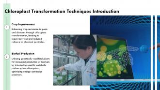 Chloroplast Transformation Techniques For Enhanced Plant Genetics PPT Presentation ST AI Analytical Image