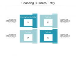 Choosing business entity ppt powerpoint presentation inspiration styles cpb