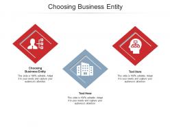 Choosing business entity ppt powerpoint presentation summary clipart images cpb