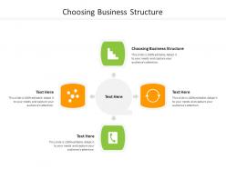Choosing business structure ppt powerpoint presentation model graphics cpb