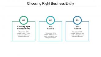 Choosing right business entity ppt powerpoint presentation show templates cpb