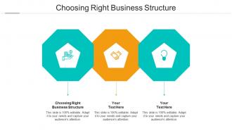 Choosing right business structure ppt powerpoint presentation icon format ideas cpb