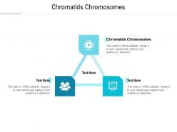 Chromatids chromosomes ppt powerpoint presentation styles graphics example cpb