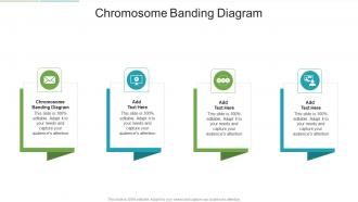 Chromosome Banding Diagram In Powerpoint And Google Slides Cpb