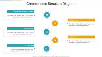 Chromosome Structure Diagram In Powerpoint And Google Slides Cpb