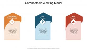 Chronostasis Working Model In Powerpoint And Google Slides Cpb