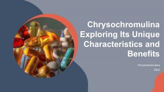 Chrysochromulina Exploring Its Unique Characteristics And Benefits PPT Slides ST AI