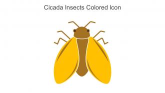 Cicada Insects Colored Icon In Powerpoint Pptx Png And Editable Eps Format