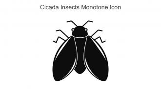 Cicada Insects Monotone Icon In Powerpoint Pptx Png And Editable Eps Format