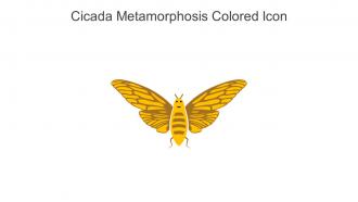 Cicada Metamorphosis Colored Icon In Powerpoint Pptx Png And Editable Eps Format