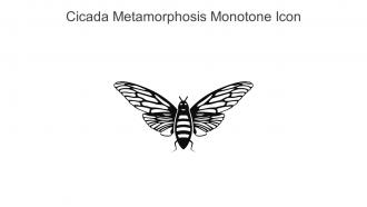 Cicada Metamorphosis Monotone Icon In Powerpoint Pptx Png And Editable Eps Format