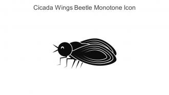 Cicada Wings Beetle Monotone Icon In Powerpoint Pptx Png And Editable Eps Format