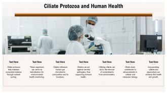 Ciliate Protozoa And Human Health Ciliate Protozoa PPT Slides ACP