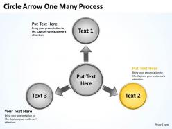 Circle arrow one many process 3 10